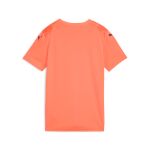 Puma Teamultimate Jersey Jr