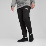 Puma Teamgoal Casuals Pants