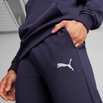 Puma Teamgoal Casuals Pants