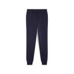 Puma Teamgoal Casuals Pants