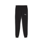 Puma Teamgoal Casuals Pants