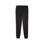 Puma Teamgoal Casuals Pants