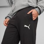 Puma Teamgoal Casuals Pants