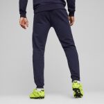 Puma Teamgoal Casuals Pants