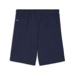 Puma Teamgoal Shorts