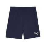 Puma Teamgoal Shorts