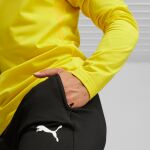 Puma Teamgoal Slim Training Pants