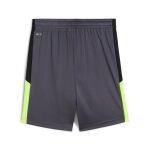 Puma IndividualLIGA traning shorts 2 Jr
