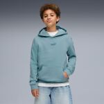 Puma Ess Small No.1 Logo Centered Hoodie Jr