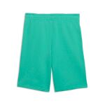 Puma Ess Small No.1 Logo Shorts Tr Jr