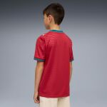 Puma FPF Home Jersey Replica Jr