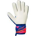 Reusch Attrakt Advance Junior