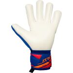 Reusch Attrakt Gold X Nc Junior