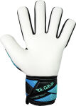 Reusch Attrakt Regrip Nc
