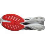 Salomon S Lab Spectur