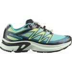 Salomon XT- EVR W