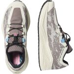 Salomon Aero Glide 4 Grvl