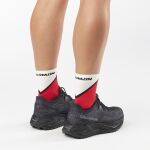 Salomon Aero Glide 4 Grvl W