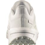 Salomon Shoes X Comf W