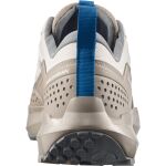 Salomon Terramphibian M