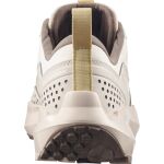 Salomon Terramphibian W