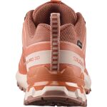 Salomon Xa Pro 3D V9 GTX W