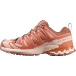 Salomon Xa Pro 3D V9 GTX W