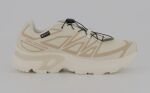 Salomon Xt-evr Gtx W