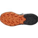 Salomon Elixir Activ Mid Gtx M