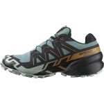 Salomon Speedcross 6 GTX