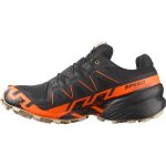 Salomon Speedcross 6 GTX