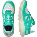 Salomon Ultra Flow W