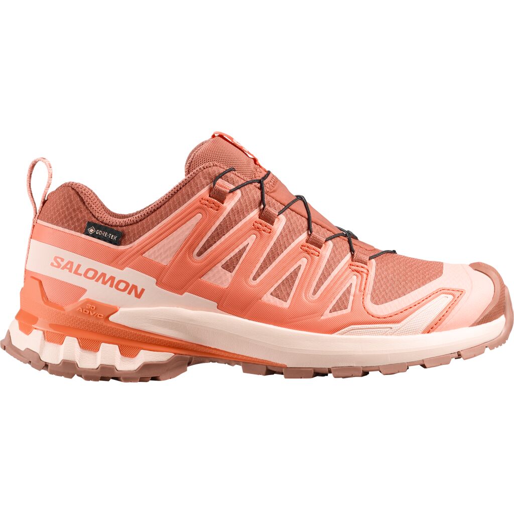 Salomon Xa Pro 3D V9 GTX W