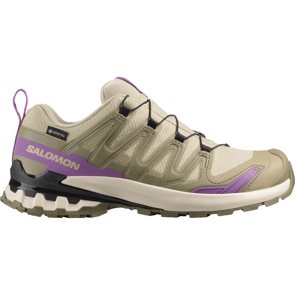 Salomon Xa Pro 3D V9 GTX W
