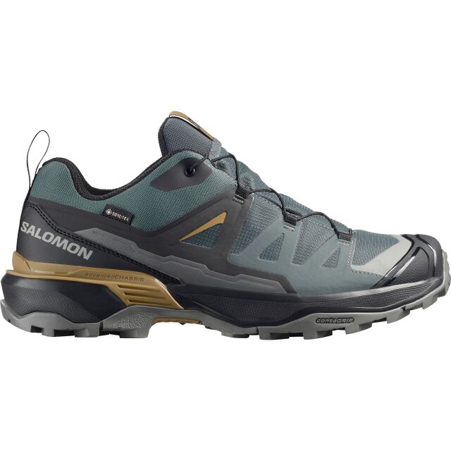 Salomon X Ultra 360 Gtx