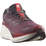 Salomon Aero Glide 4 W