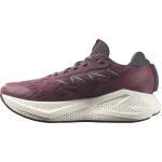 Salomon Aero Glide 4 W