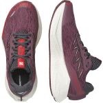 Salomon Aero Glide 4 W