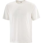 Salomon Shkout Core Ss Tee M
