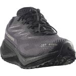 Salomon Aero Blaze 4 Grvl Gtx W