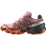 Salomon Speedcross 6 Gtx W
