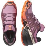 Salomon Speedcross 6 Gtx W