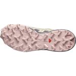 Salomon Speedcross 6 Gtx W