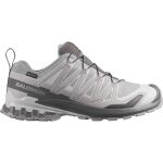 Salomon XA Pro 3d V9 Gtx M