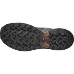 Salomon X Ultra 360 Gtx