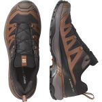 Salomon X Ultra 360 Gtx