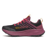 Saucony Ride TR2 W