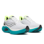 Saucony Triumph 24