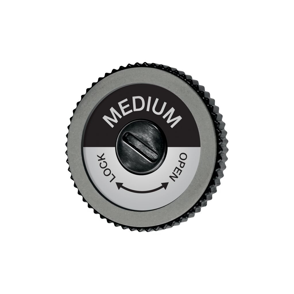 Swix Ta3013m Evo Spare Disc Medium