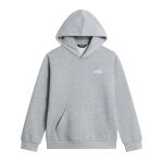 The North Face Teens' Evolution Simple Dome Pullover Hoodie
